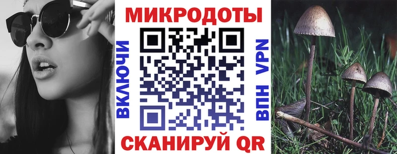 Псилоцибиновые грибы мухоморы  Купить закладки  Старый Оскол 